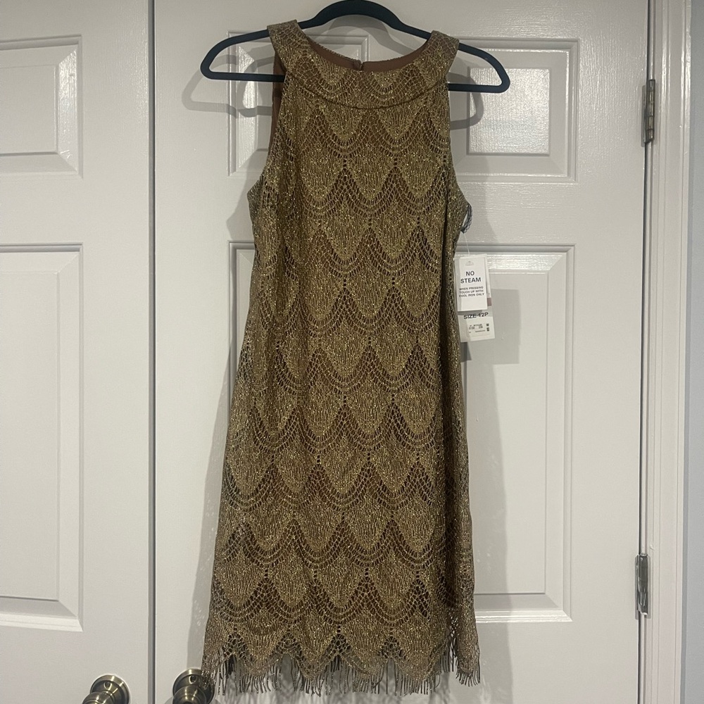 Crochet Scalloped Fringe Dress